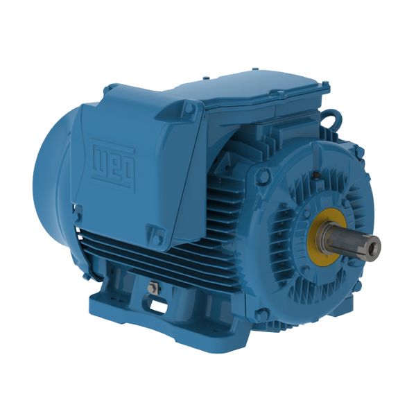 MOTOR 60CV 4P 225S/M 3F 380/660 B3D W22 IR3